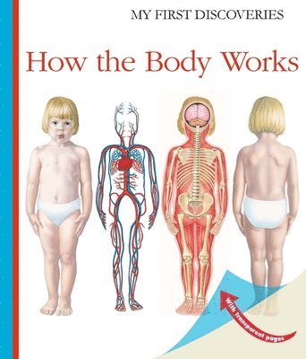 How the Body Works 1