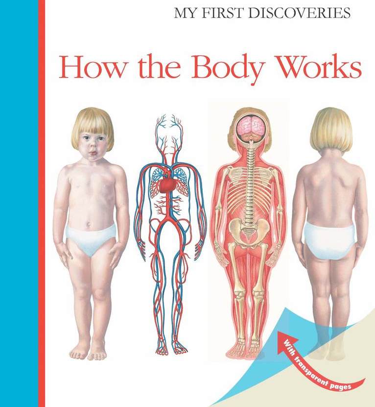 How the Body Works