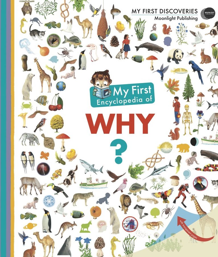 Sophie Lamoureux - My First Encyclopedia of Why?, Häftad