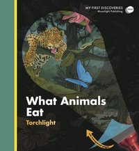 bokomslag What Animals Eat
