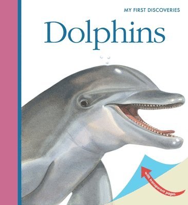 bokomslag Dolphins