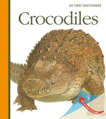 bokomslag Crocodiles