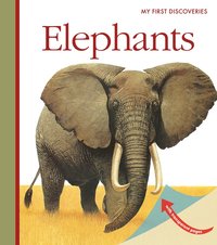 bokomslag Elephants