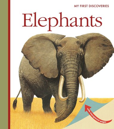 Elephants, Häftad