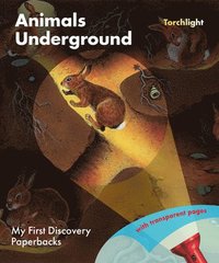 bokomslag Animals Underground