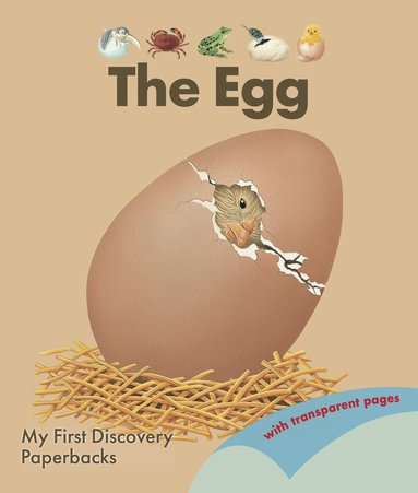 René Mettler - Egg, Häftad