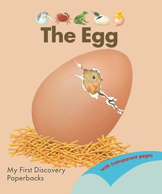 bokomslag Egg