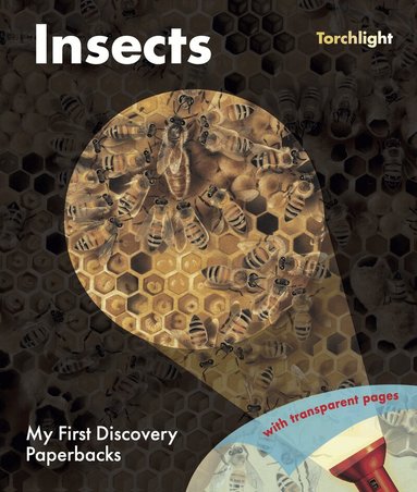 Claude Delafosse - Insects, Häftad