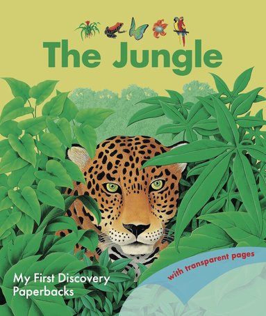 René Mettler - Jungle, Häftad