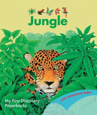 The Jungle 1