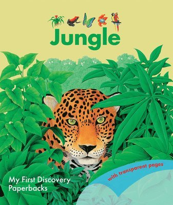 Jungle