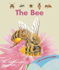 bokomslag The Bee