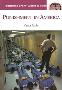bokomslag Punishment in America