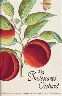 bokomslag The Tradescants' Orchard