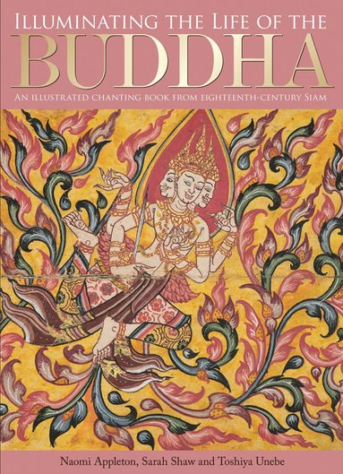 bokomslag Illuminating the Life of the Buddha