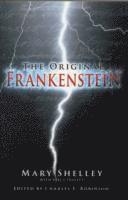 bokomslag The Original Frankenstein