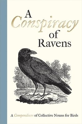 bokomslag A Conspiracy of Ravens