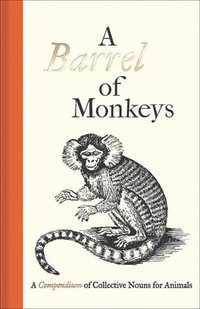bokomslag A Barrel of Monkeys