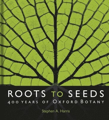 Roots to Seeds 1