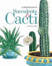 bokomslag A Splendour of Succulents & Cacti