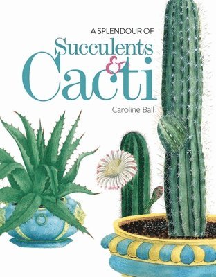 A Splendour of Succulents & Cacti 1