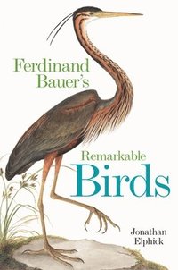 bokomslag Ferdinand Bauer's Remarkable Birds