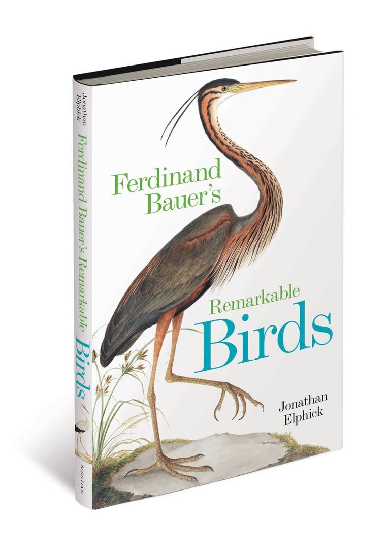 Ferdinand Bauer's Remarkable Birds 1