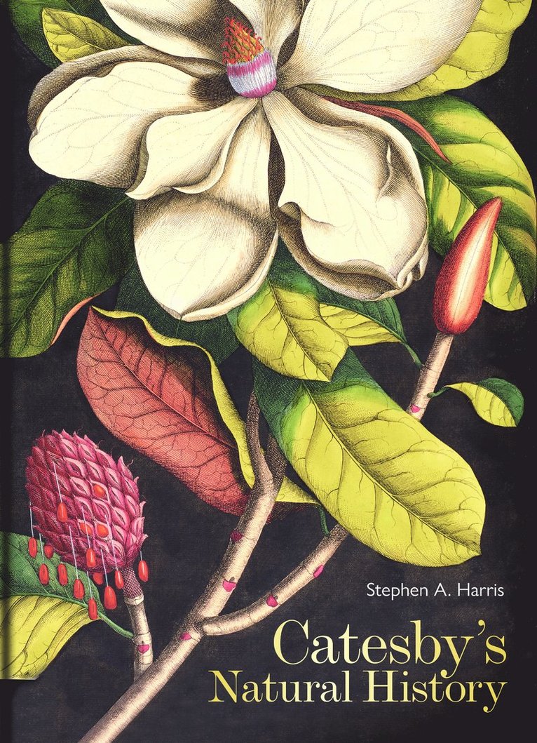 Catesby's Natural History