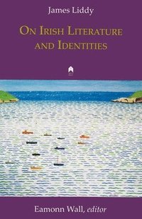 bokomslag On Irish Literature and Identities