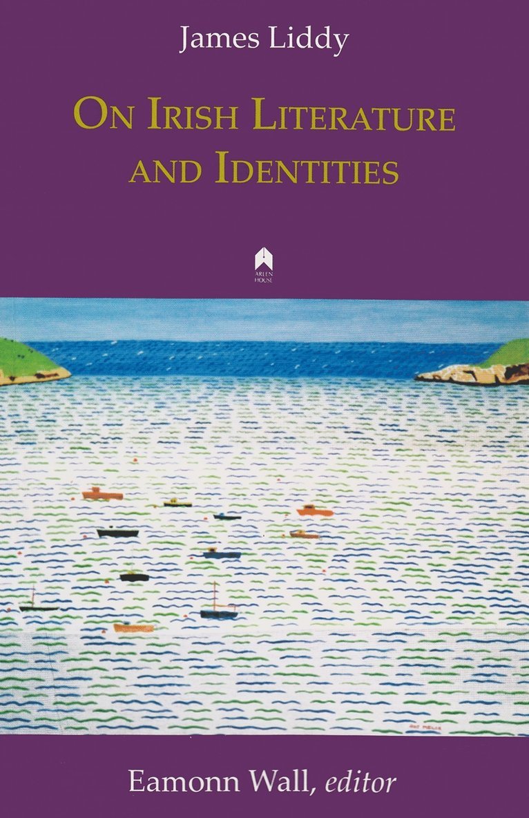 James Liddy, Eamonn Wall - On Irish Literature and Identities, Häftad