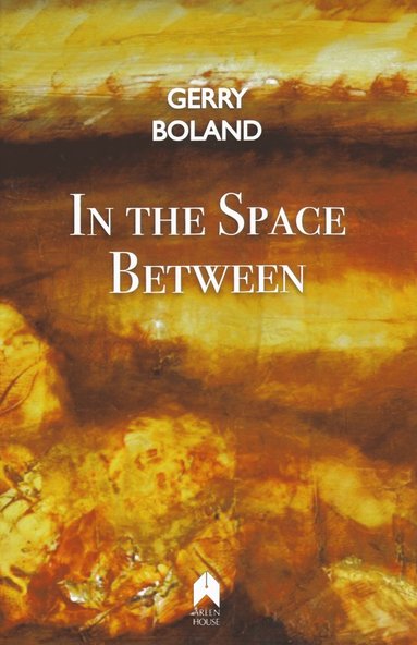 bokomslag In the Space Between