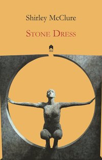 bokomslag Stone Dress