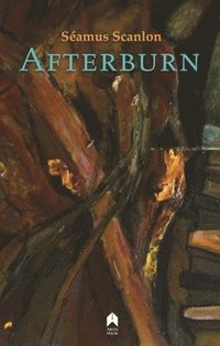 bokomslag Afterburn
