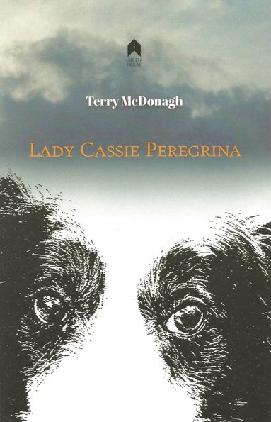 bokomslag Lady Cassie Peregrina
