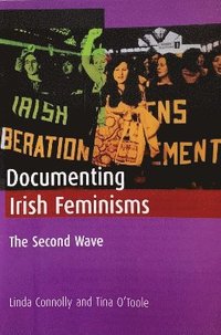 bokomslag Documenting Irish Feminisms