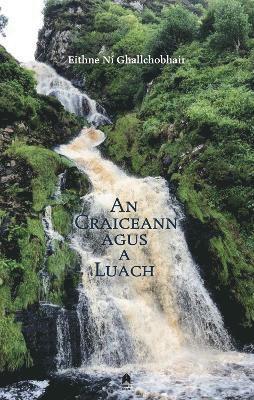 bokomslag An Craiceann agus a Luach