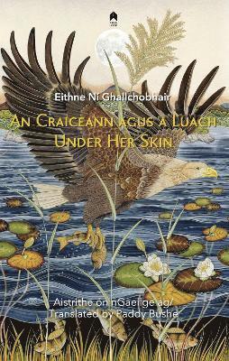 bokomslag An Craiceann agus a Luach : Under Her Skin