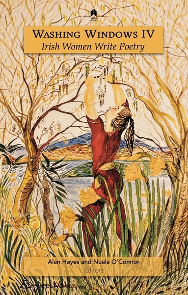 Alan Hayes, Nuala O'Connor - Washing Windows IV, Häftad