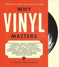 bokomslag Why Vinyl Matters