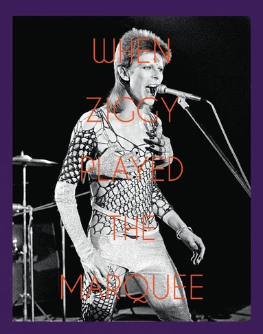 bokomslag When Ziggy Played the Marquee