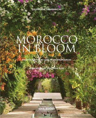 Morocco in Bloom 1