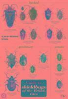 bokomslag Guide to Shieldbugs of the British Isles