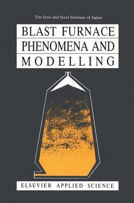 bokomslag Blast Furnace Phenomena and Modelling