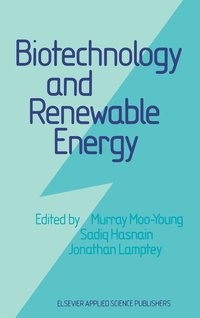 bokomslag Biotechnology and Renewable Energy