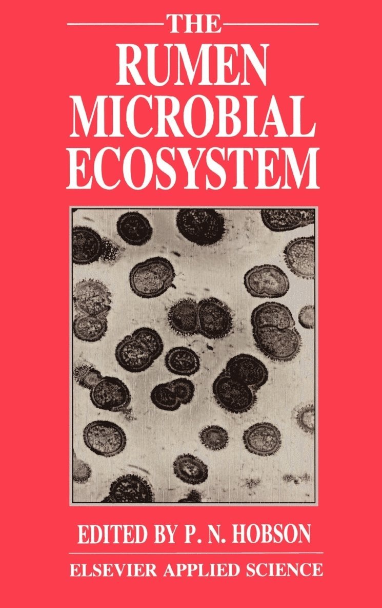 Rumen Microbial Ecosystem