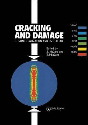 bokomslag Cracking and Damage