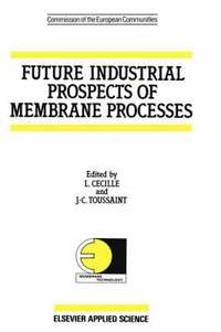 bokomslag Future Industrial Prospects of Membrane Processes