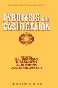 bokomslag Pyrolysis and Gasification