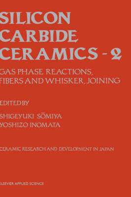 bokomslag Silicon Carbide Ceramics