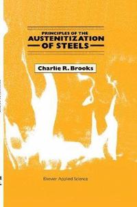 bokomslag Principles of the Austenitization of Steels